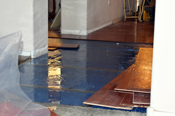 Professional Water Extraction technician working in Remus, MI